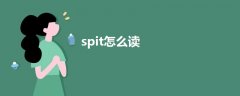 spit怎么读