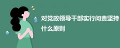 对党政领导干部实行问责坚持什么原则