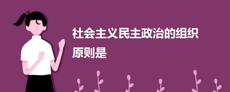 社会主义民主政治的组织原则是