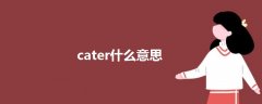 cater什么意思