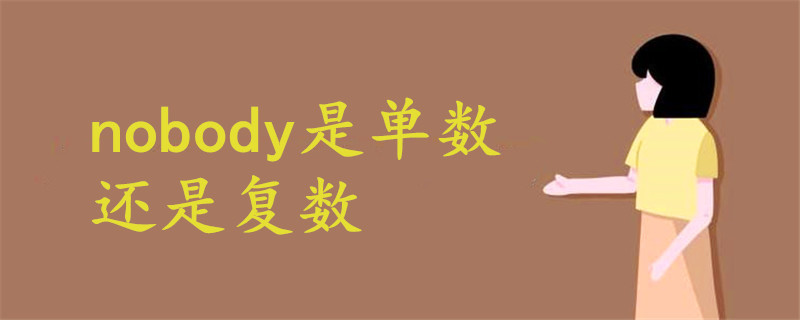 nobody是单数还是复数