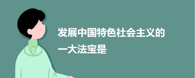 发展中国特色社会主义的一大法宝是