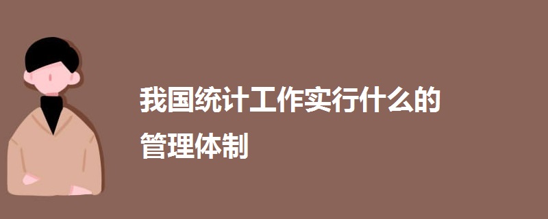 我国统计工作实行什么的管理体制