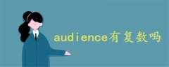 audience有复数吗