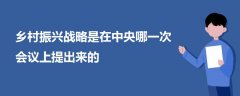 乡村振兴战略是在中央哪一次会议上提出来的