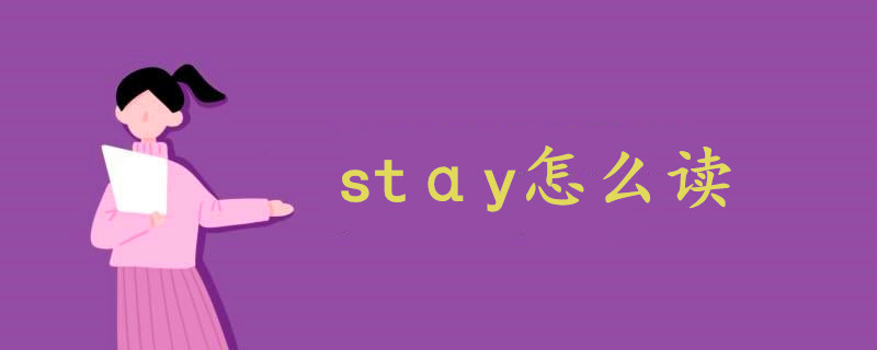 stαy怎么读