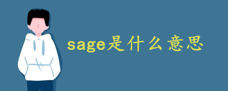 Sage是什么意思中文 战马教育