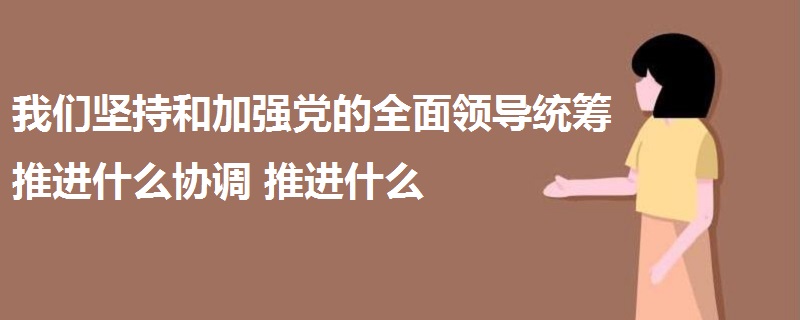 我们坚持和加强党的全面领导统筹推进什么协调推进什么