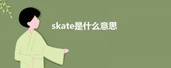 skate是什么意思