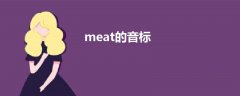 meat的音标