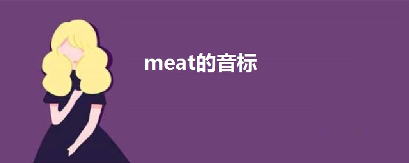 meat的音标