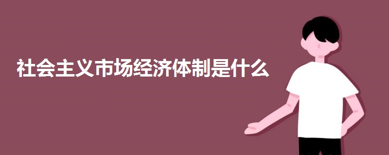 社会主义市场经济体制是什么