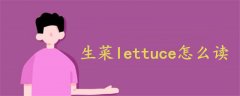 生菜lettuce怎么读