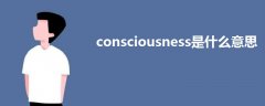 consciousness是什么意思