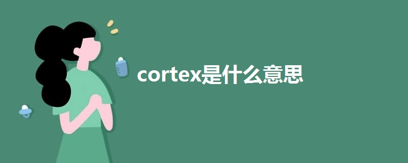 cortex是什么意思