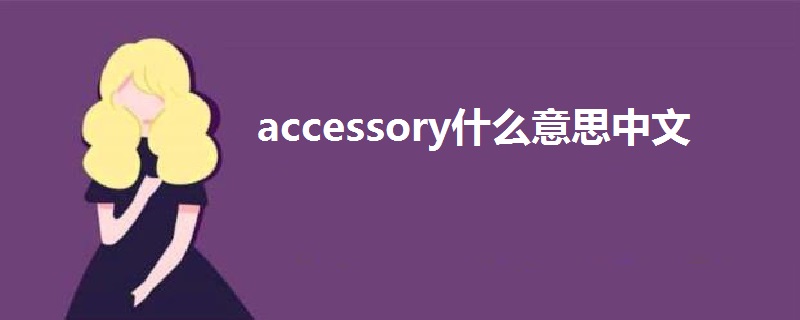 accessory什么意思中文