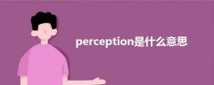 perception是什么意思