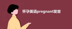 怀孕英语pregnant发音