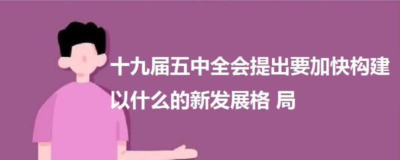 十九届五中全会提出要加快构建以什么的新发展格局