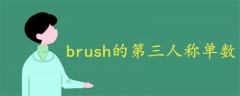 brush的第三人称单数