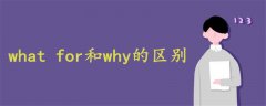 what for和why的区别