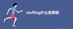 stuffing什么意思啊