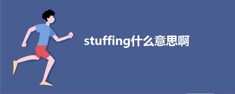 stuffing什么意思啊