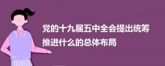 党的十九届五中全会提出统筹推进什么的总体布局