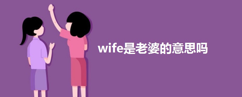 wife是老婆的意思吗