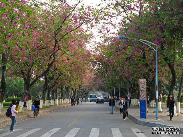 国内最强四所理工大学是哪四所？最强四所理工大学详细介绍