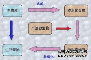 生物技术专业学什么？就业前景如何？生物技术专业大学排名