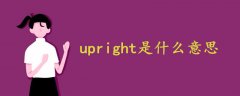 upright是什么意思