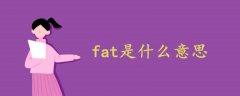 fat是什么意思