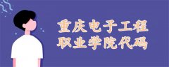 重庆电子工程职业学院代码