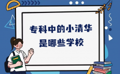 专科中的小清华是哪些学校？被评为小清华的专科学校