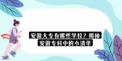 安徽大专有哪些学校？揭秘安徽专科中的小清华