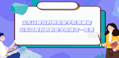 山东口碑较好的职业学院有哪些 山东省最全职业学院排名一览表