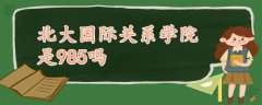 北大国际关系学院是985吗