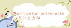 princeton university是什么大学