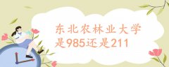 东北农林业大学是985还是211